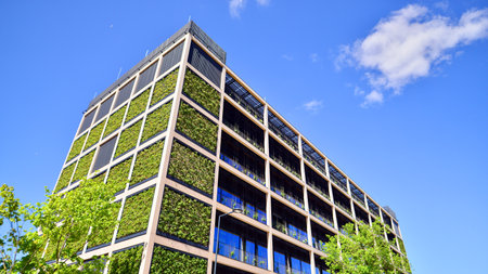 Modern city eco office building with tree. Detail shot of modern architecture facade, business...