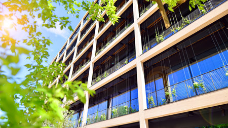 Modern city eco office building with tree. Detail shot of modern architecture facade, business...