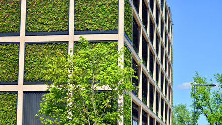 Modern city eco office building with tree. Detail shot of modern architecture facade, business...