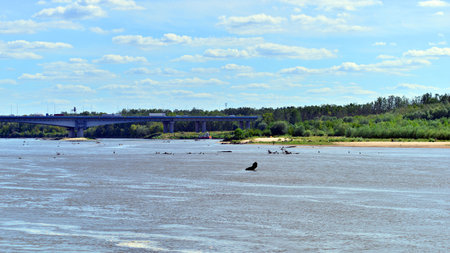 Warsaw, Poland. 11 August 2025. Vistula River in Wawer district