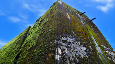 Destroyed WWII bunker ruins found in the forest covered with moss, shrubs, and other flora.の写真素材