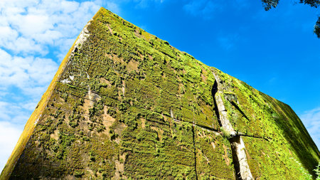 Destroyed WWII bunker ruins found in the forest covered with moss, shrubs, and other flora.の写真素材