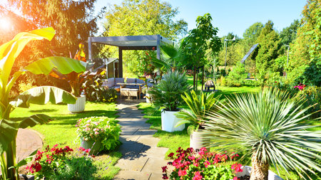 Beautiful summer garden with green grass, exotic plants and aluminum pergola. Professional luxury gardening concept.の写真素材