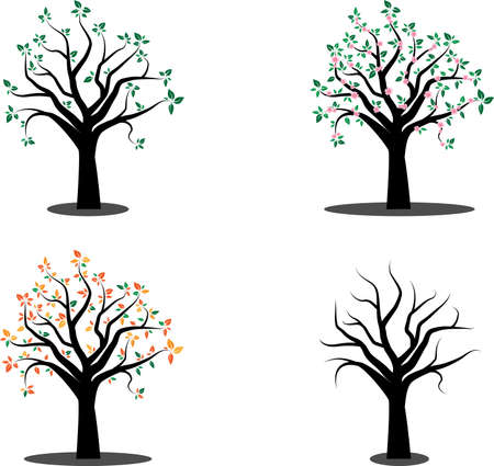 Vector image of four season tree witn flowers and leafs in different seasonsのイラスト素材
