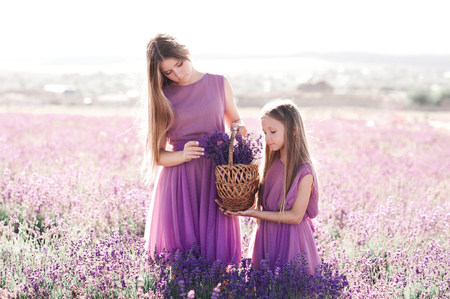 Two blonde girls 14-16 and 4-5 year old wearing stylish purple dresses holding basket with flowers in lavender field. Summer time. Friendship. Childhood. の写真素材