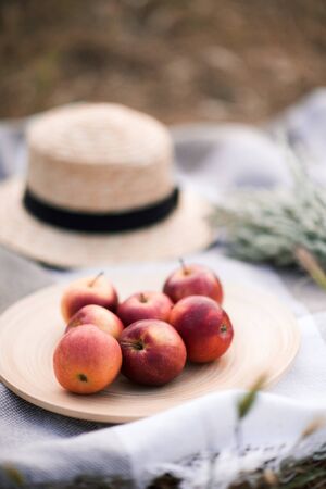 Red ripe apples on wooden plate. Picnic outdoors. 