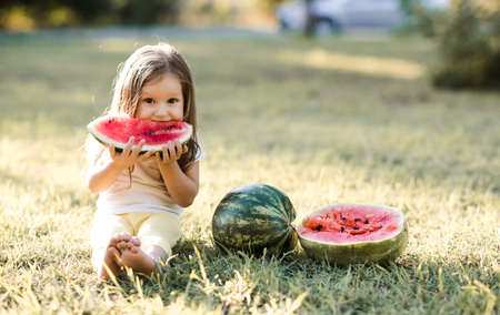 Funny baby girl 4-5 year old eating watermelon sitting on green grass outdoors having picnic close up. Harvesting time.の写真素材
