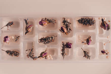 Ice cubes with water and fresh flowers closeup. Summer season.の写真素材