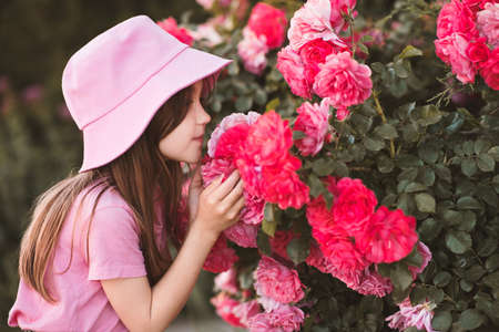 Cute child girl 5-6 year old wear hat and summer clothes posing with garden roses outdoors. Summer season. Childhood. Stylish toddler over nature background.の写真素材