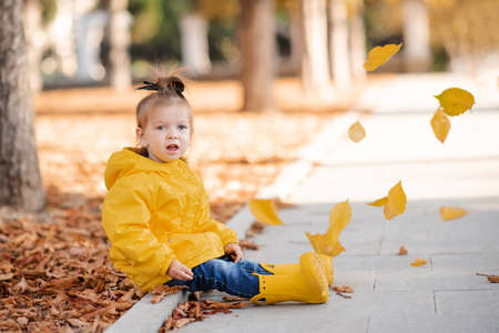 Cute funny kid girl 2-3 year old wear yellow rain jacket and rubber boots in autumn park outdoor over fallen leaves. fall season. Childhood.の写真素材