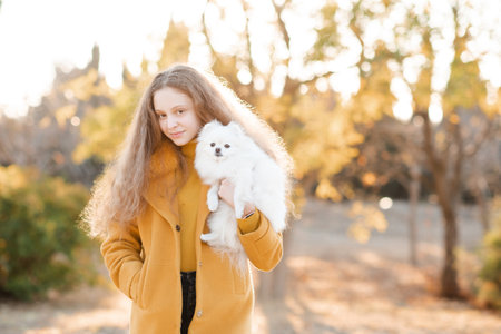 Cute smiling teenage girl 15-16 year old holding white fluffy spitz puppy dog together over autumn yellow nature background in park. Friendship.の写真素材