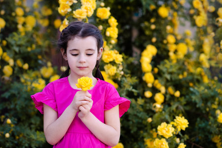Child girl 6-7 year old smelling yellow rose flower posing over blooming bushes in garden closeup outdoor. Little child wear pink cute dress. springtime.の写真素材