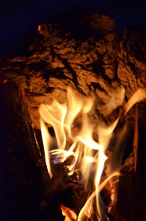 Flames and burning wood on a black background