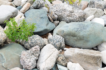 Green stones in Bay Hargino, Baikal Lakeの写真素材
