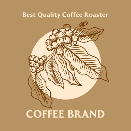 Branch of coffee with beans and leaf hand drawn Brand illustrationのイラスト素材