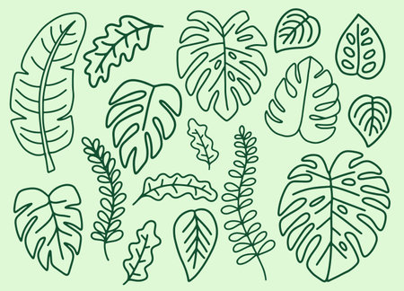 Green leaf leaves monstera design element set Outline Style illustrationのイラスト素材