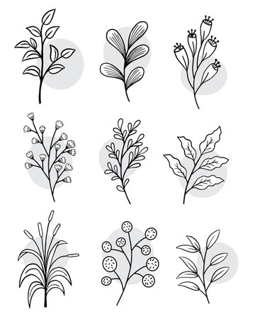 Green leaf leaves design element set colorless Outline Style illustrationのイラスト素材
