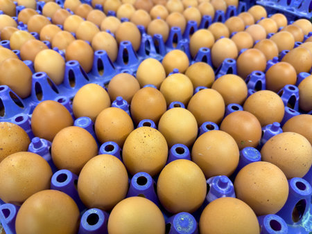 Rows of brown eggs in blue trays at a marketの写真素材
