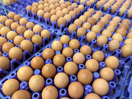 Rows of brown eggs in purple trays at a marketの写真素材