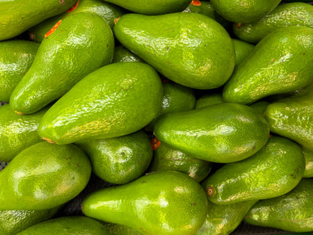 Fresh green avocados piled together in a vibrant market settingの写真素材