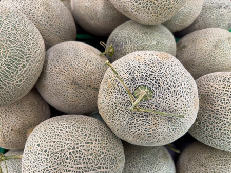 Fresh cantaloupes stacked in a market stall for saleの写真素材