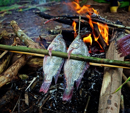 In Laos freshwater fish is part of the local staple food. Mostly sold in the markets as dried fish...