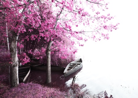 Park of pateira de fermentelos portugalの写真素材