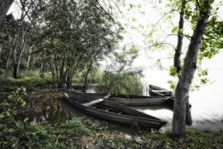 Park of Pateira de Fermentelos の写真素材