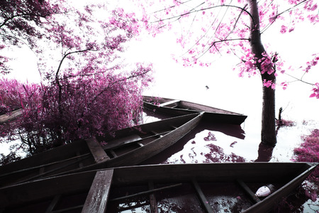 The Magical infrared efexの写真素材