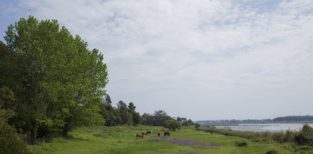 Park of Pateira de Fermentelosの写真素材