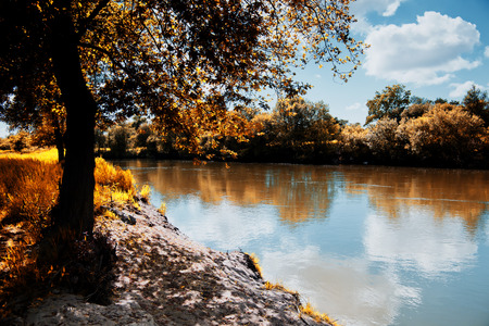 Park of Pateira de Fermentelosの写真素材