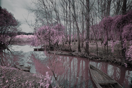 Park of Pateira de Fermentelosの写真素材