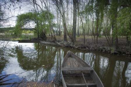 Park of Pateira de Fermentelosの写真素材