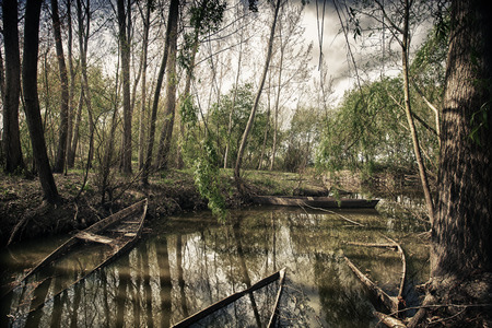 Park of Pateira de Fermentelosの写真素材
