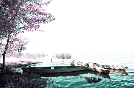 Park of Pateira de Fermentelosの写真素材