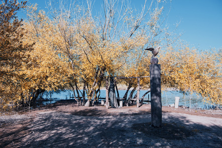 Park of Pateira de Fermentelosの写真素材