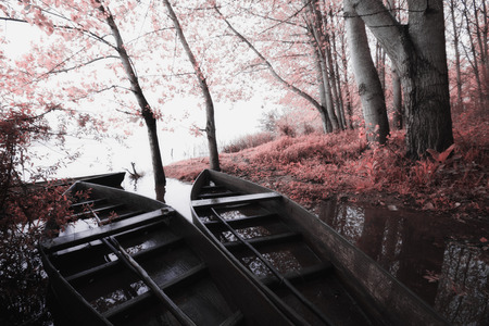 Park of Pateira de Fermentelosの写真素材