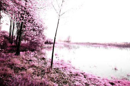 Park of Pateira de Fermentelosの写真素材