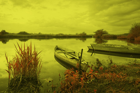 Park of Pateira de Fermentelosの写真素材