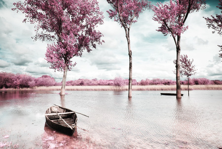 Park of Pateira de Fermentelosの写真素材