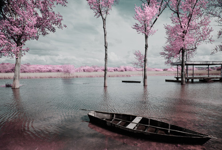 Park of Pateira de Fermentelosの写真素材