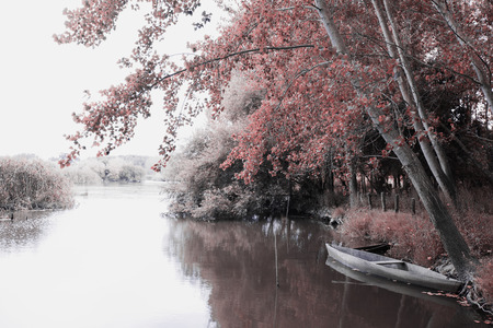 Park of Pateira de Fermentelosの写真素材