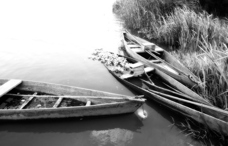 Park of Pateira de Fermentelosの写真素材