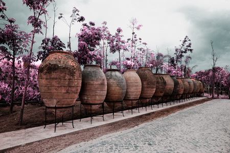 Park of Pateira de Fermentelosの写真素材