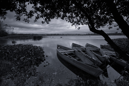 Park of Pateira de Fermentelosの写真素材