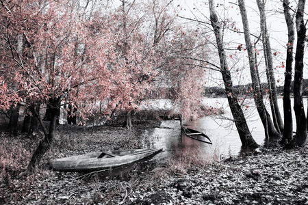 Park of Pateira de Fermentelosの写真素材