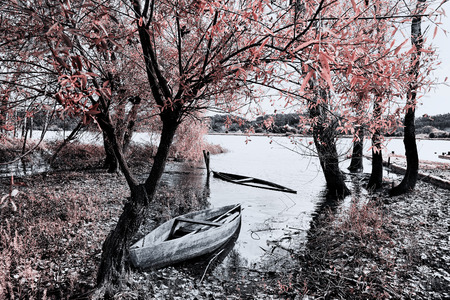 Park of Pateira de Fermentelosの写真素材