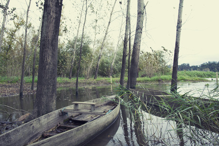 Park of Pateira de Fermentelosの写真素材