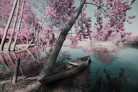 Park of Pateira de Fermentelosの写真素材