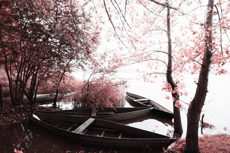 Park of Pateira de Fermentelosの写真素材